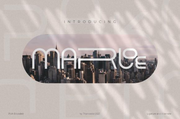 Marloe Typeface Review: Elevating Boutique Branding and Print Design